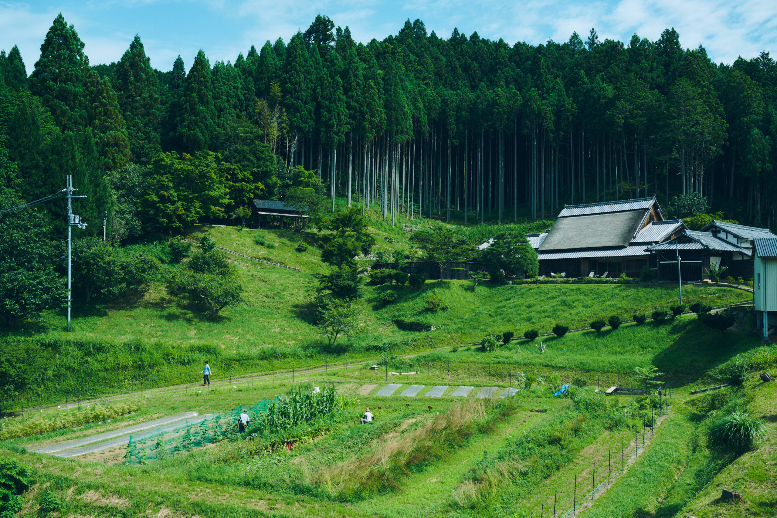 5.薬草の町で『やたきや』に泊まる